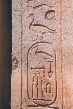 Paroh 2278-2311 (BCE1483-50 Yetziah53) Nefer-khepers Tut-Moses III child of Ra cartouche